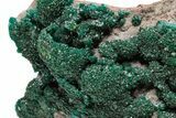 Dark Green Dioptase Crystal Cluster - Congo #111562-2